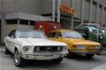 Bleiche Motor Trophy