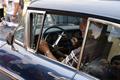 Bleiche Motor Trophy