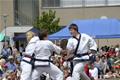 Bleiche Motor Trophy