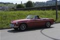 Bleiche Motor Trophy